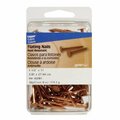 Homecare Products 42081 1.05 in. x 11 Ga Slate Nails HO3319554